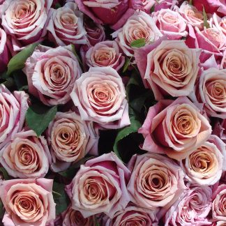 Garden Romance Bouquet