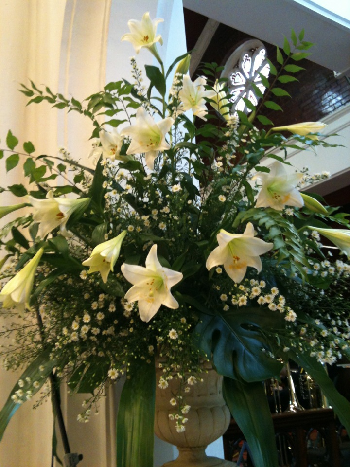 Peaceful White Lilies